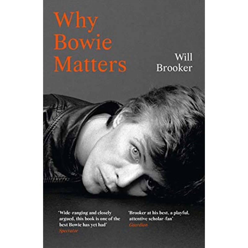 Why Bowie Matters Book